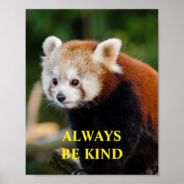 Affiche Red Panda Be Kind Citation Inspirationnelle Person (Devant)