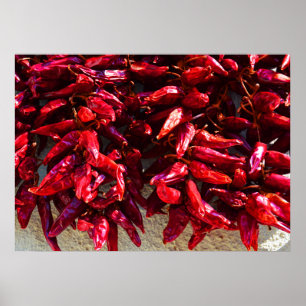 Affiche Red peppers drying in the sun Hungary