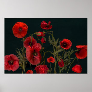 Affiche Red Poppies
