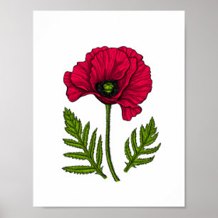 Affiche Red poppy drawing 3