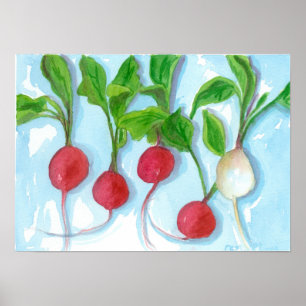 Affiche Red Radis Garden Vegetable Aquarelle Art