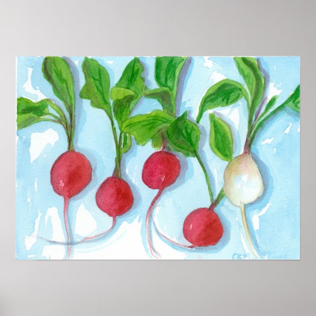 Affiche Red Radis Garden Vegetable Aquarelle Art (Devant)