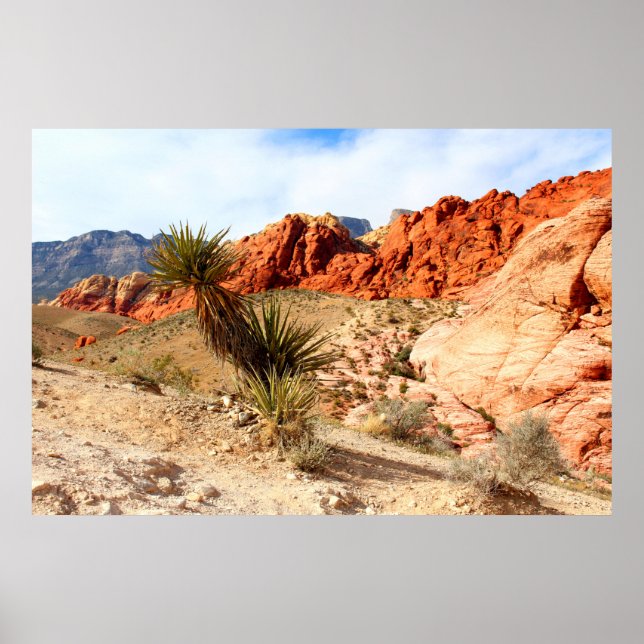Affiche Red Rock Canyon Spring Mountains Arrière - plan (Devant)