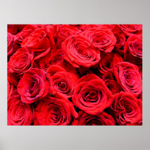 Affiche Red Roses élégant rouge floral photo Momlife