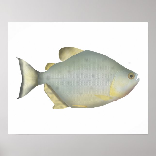 Affiche Red Ruby Piranha (Devant)