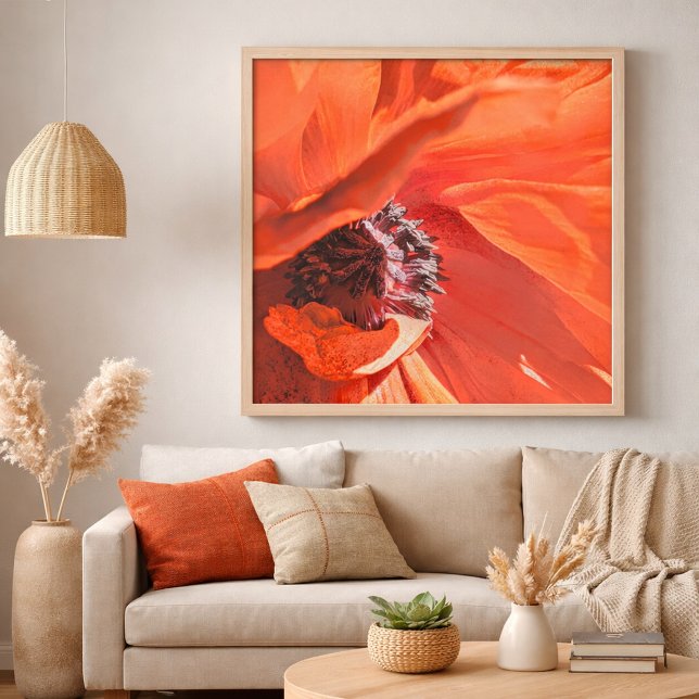 Affiche Red Vibrant Poppy Flower Photography by Meggidoo (Red Poppy Flower Home Decor )