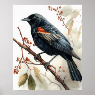 Affiche Red Winging Blackbird Oiseau Art Imprimer l'affich