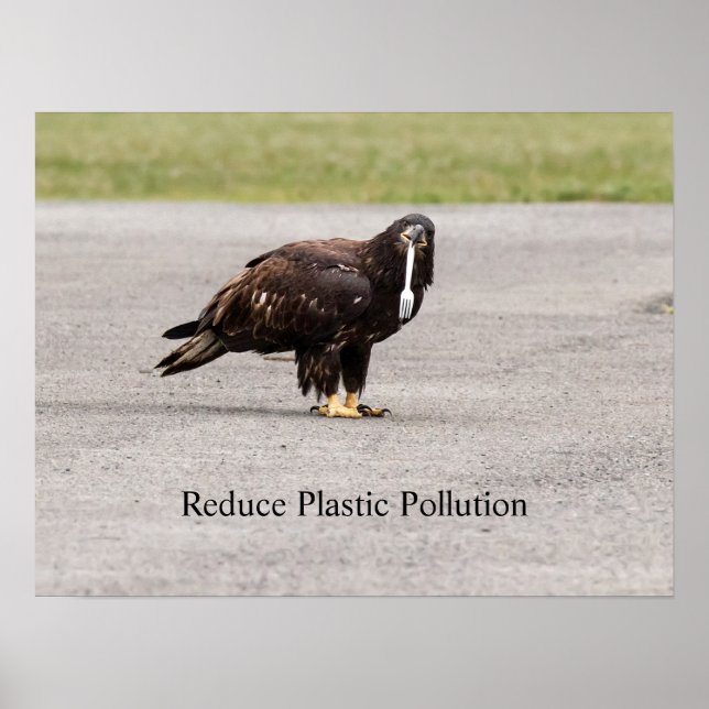 Affiche Réduire La Pollution Plastique (Devant)