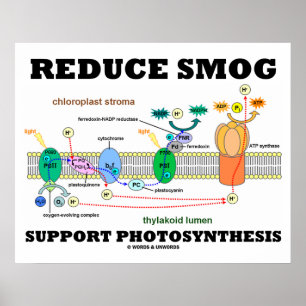 Affiche Réduire la prise en charge du smog Photosynthèse L