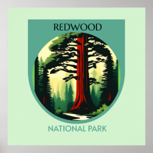 Affiche Redwood National Park Beauty en Californie