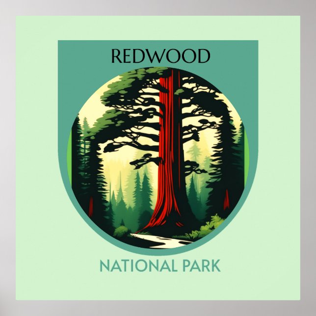 Affiche Redwood National Park Beauty en Californie (Devant)