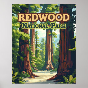 Affiche Redwood National Park California Tree Retro