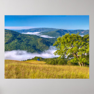 Affiche Redwood National Park, Californie
