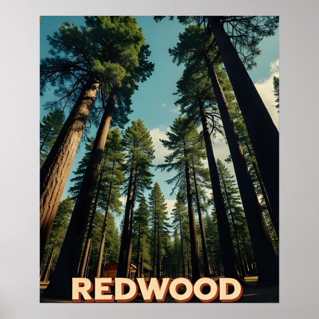 Affiche Redwood National Park Californie Vintage (Devant)
