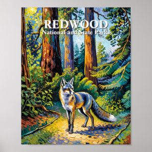 Affiche Redwood National Park Van Gogh Forêt Renard Person