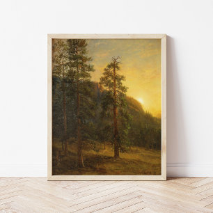 Affiche Redwoods Californie   Albert Bierstadt
