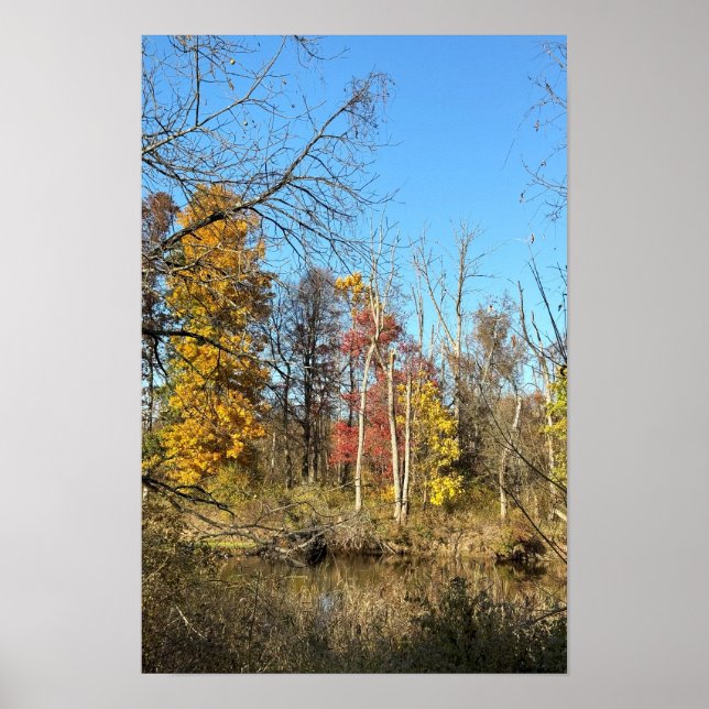 Affiche Reflections d'automne sur ruisseau (Devant)