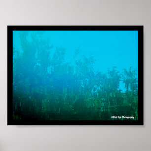 Affiche Reflet dans l'Eau