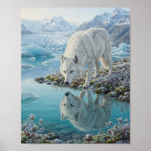 Affiche Reflet d'eau de lagon glaciaire du loup arctique