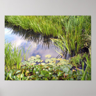 Affiche Reflet du ciel dans le lac avec des lis