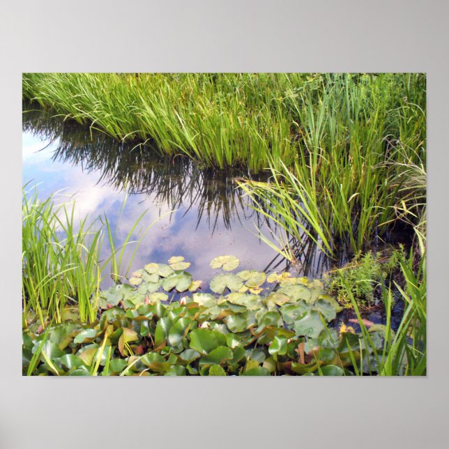 Affiche Reflet du ciel dans le lac avec des lis (Devant)