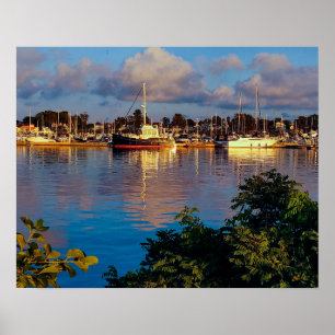 Affiche Reflet du port