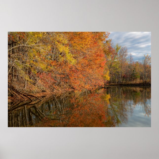 Affiche Reflets d'Automne  (Devant)