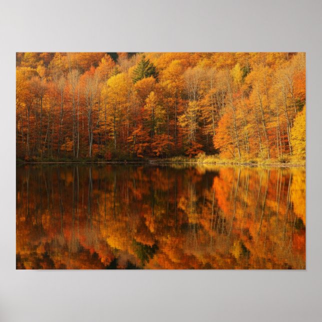 Affiche Reflets d'automne (Devant)