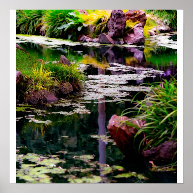 Affiche Reflets de jardin (Devant)