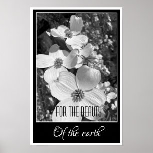 Affiche Reflets en noir et blanc pour l'affiche de beauté