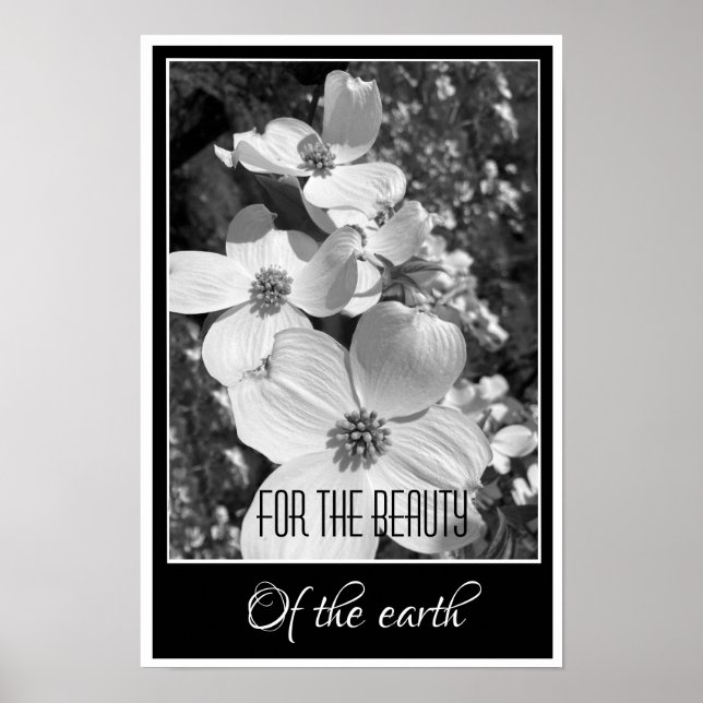 Affiche Reflets en noir et blanc pour l'affiche de beauté (Devant)