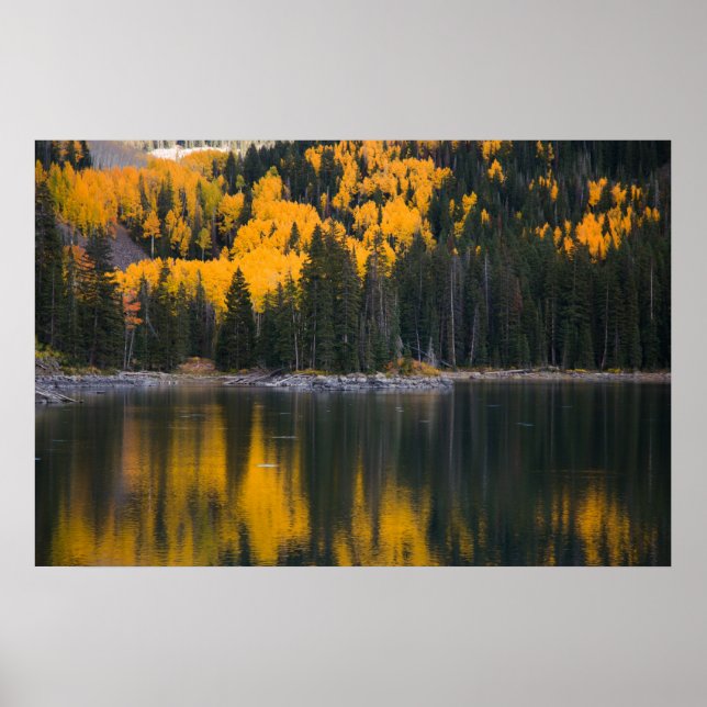 Affiche Réflexion (Devant)