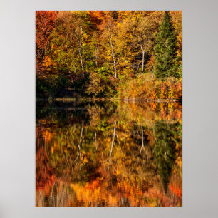 Affiche Réflexion automnale sur Coffin Pond