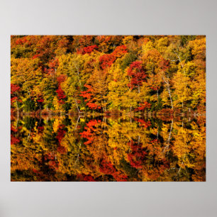 Affiche Réflexion d'automne sur le lac Russell New Hamps