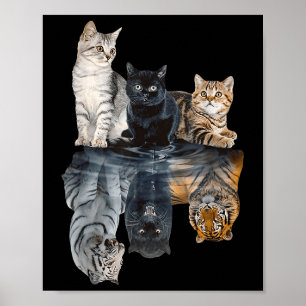 Affiche Réflexion de chats Miroir Lion Cheetah Tiger Funny