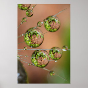 Affiche Réflexion des gouttelettes d'eau