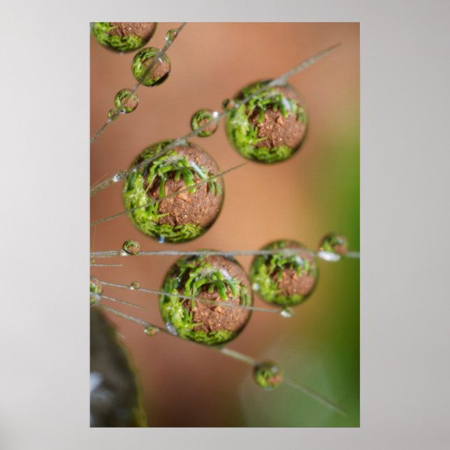 Affiche Réflexion des gouttelettes d'eau (Devant)