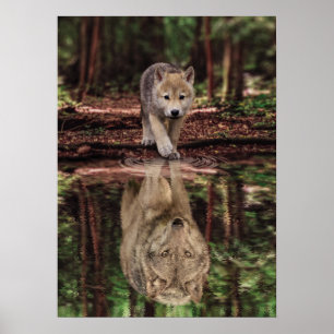 Affiche Réflexion du loup et de l'eau de levage, motivatio
