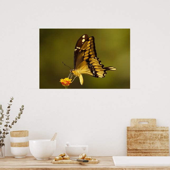 Affiche Réflexion majestueuse (Cuisine)