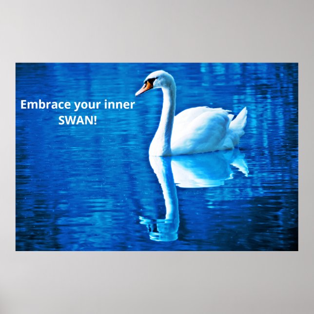 Affiche Réflexion motivationnelle Réflexion cygne Bleu & B (Devant)