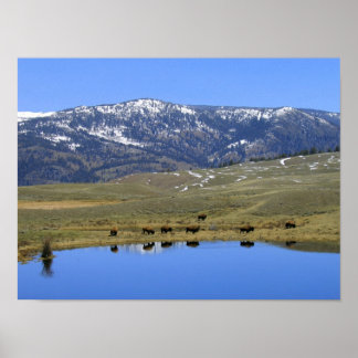 Affiche Réflexion naturelle