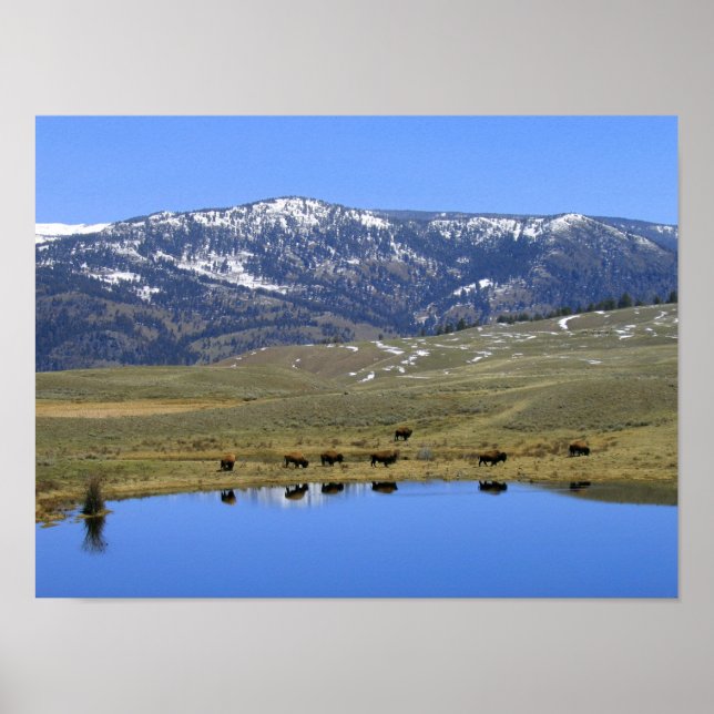 Affiche Réflexion naturelle (Devant)