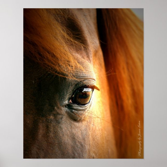 Affiche Réflexions (Devant)