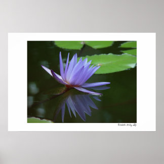 Affiche Réflexions bleues