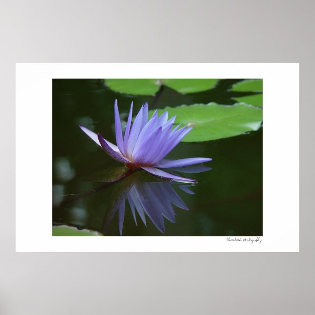 Affiche Réflexions bleues (Devant)