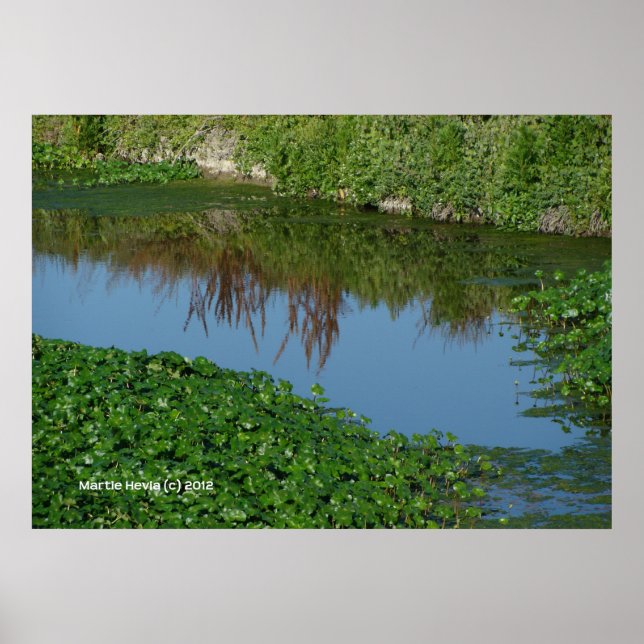 Affiche Réflexions en vert (Devant)