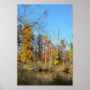 Affiche Réflexions sur l'affiche du ruisseau