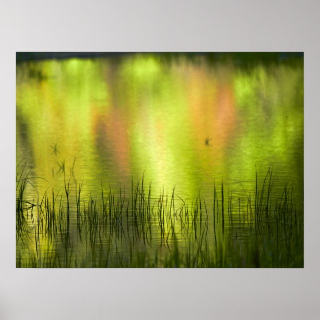 Affiche Réflexions sur le lac Mirror | Yosemite (Devant)