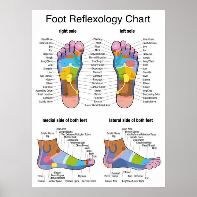 Affiche Réflexologie des pieds -18 x 24 pouces (Devant)