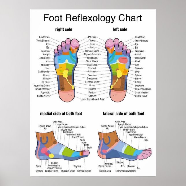 Affiche Réflexologie des pieds 22 x 29 pouces (Devant)